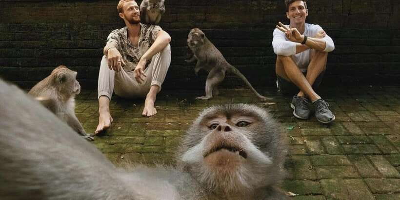 Ubud Monkey Forest, Waterfall, Temple and Rice Terrace Tour - Why this route works for a first day in Ubud