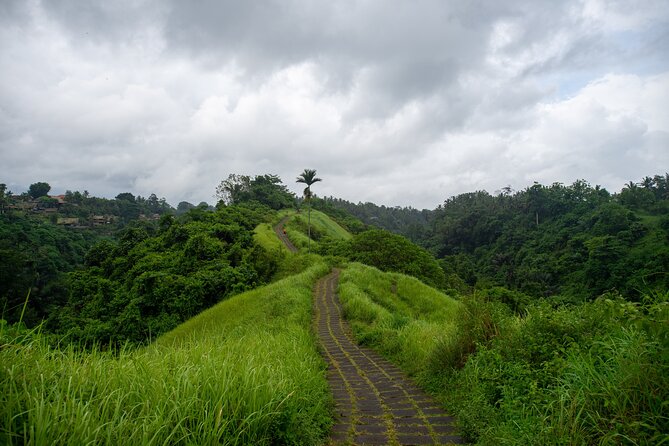 Ubud Private Tour: Monkey Forest - Tirta Empul Temple - Understanding Tirta Empul Temple