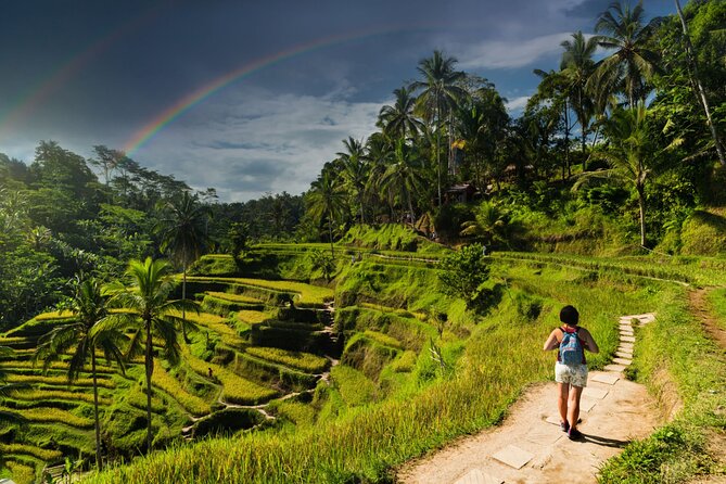 Ubud Private Tour: Monkey Forest - Tirta Empul Temple - Seeing Goa Gajah, the Elephant Cave