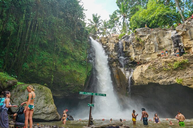 Ubud Private Tour: Monkey Forest - Tirta Empul Temple - What the private format adds