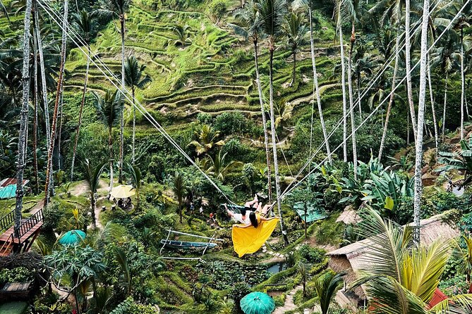 Ubud Private Tour: Waterfall, Monkey Forest, Rice Terrace, Temple - Why this Ubud day works from Nusa Dua