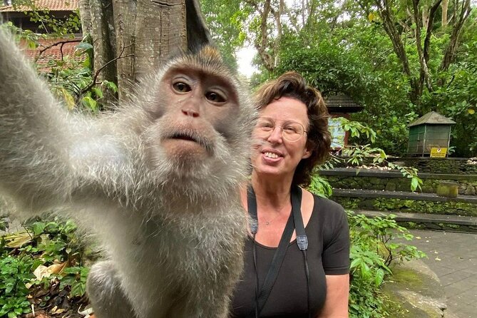 Ubud Private Tour: Waterfall, Monkey Forest, Rice Terrace, Temple - Ubud Traditional Art Market and a 30-minute browse