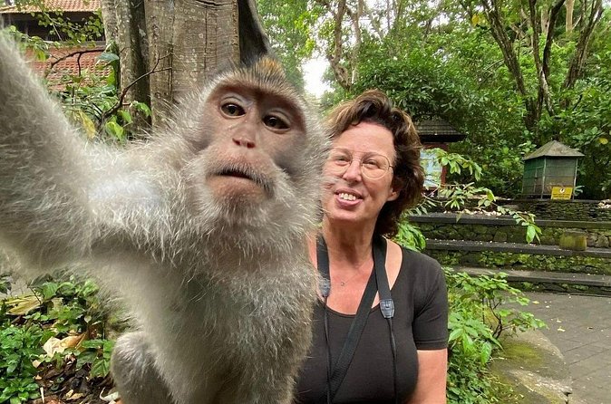 Ubud Private Tour: Waterfall, Monkey Forest, Rice Terrace, Temple - What the $60 price really covers