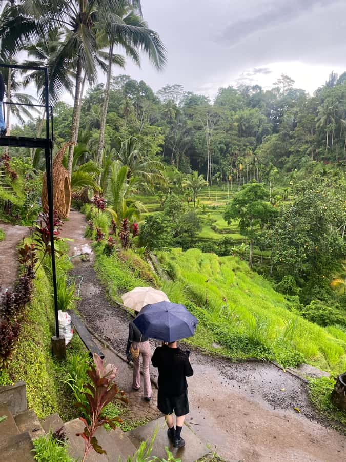 Ubud: Rice Terrace, Monkey Forest, Temple, & Waterfall - Why this Ubud day works well