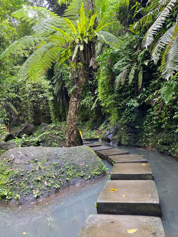 Ubud: Rice Terrace, Monkey Forest, Temple, & Waterfall - Getting around Ubud in a private car