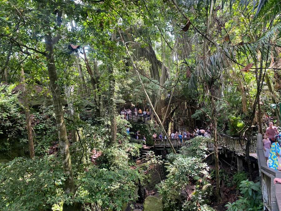 Ubud: Rice Terrace, Monkey Forest, Temple, & Waterfall - Walking the Tegallalang Rice Terrace
