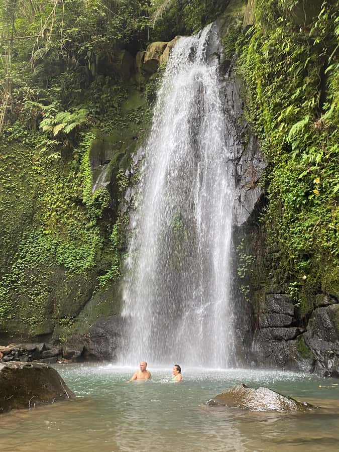 Ubud: Rice Terrace, Monkey Forest, Temple, & Waterfall - Tirta Empul, where water shapes the visit