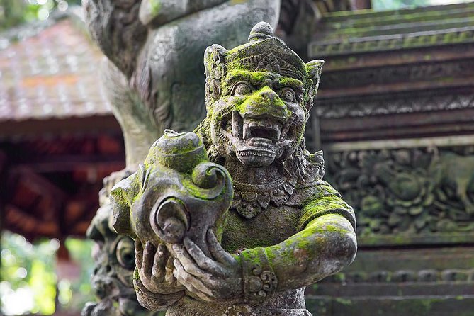 Ubud Sacred Monkey Forest & Art Village Tour - What your private guide adds
