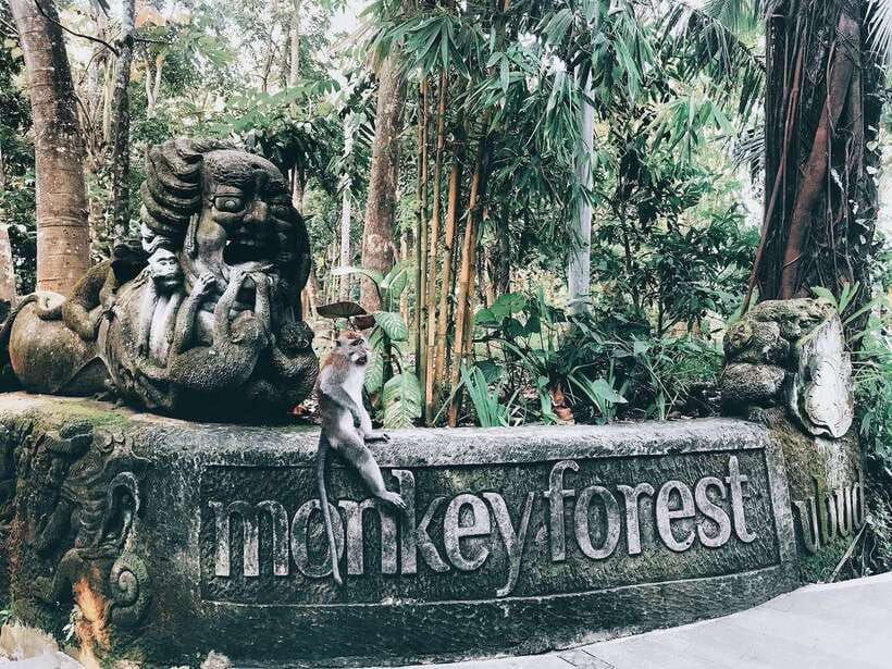 Ubud: Sacred Monkey Forest, Barong Cave ATV & Waterfall Tour - Tegenungan Waterfall and time in the water