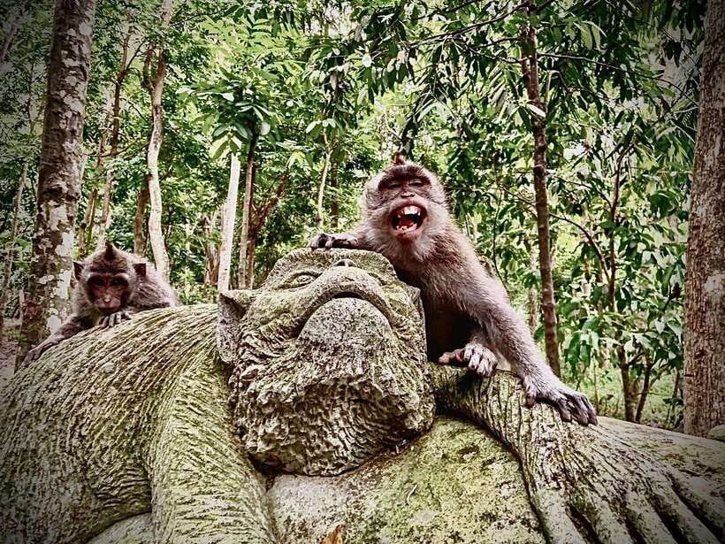 Ubud: Sacred Monkey Forest & Barong Cave ATV with Meal - Riding through rice paddies and jungle