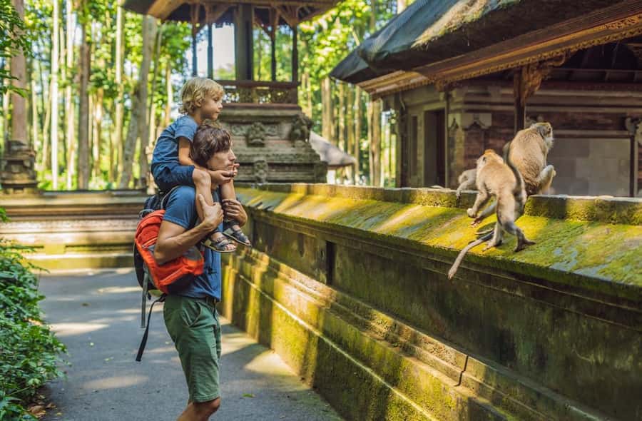 Ubud: Sacred Monkey Forest Sanctuary Ticket and Guided Tour - Why the Sacred Monkey Forest is more than a photo stop