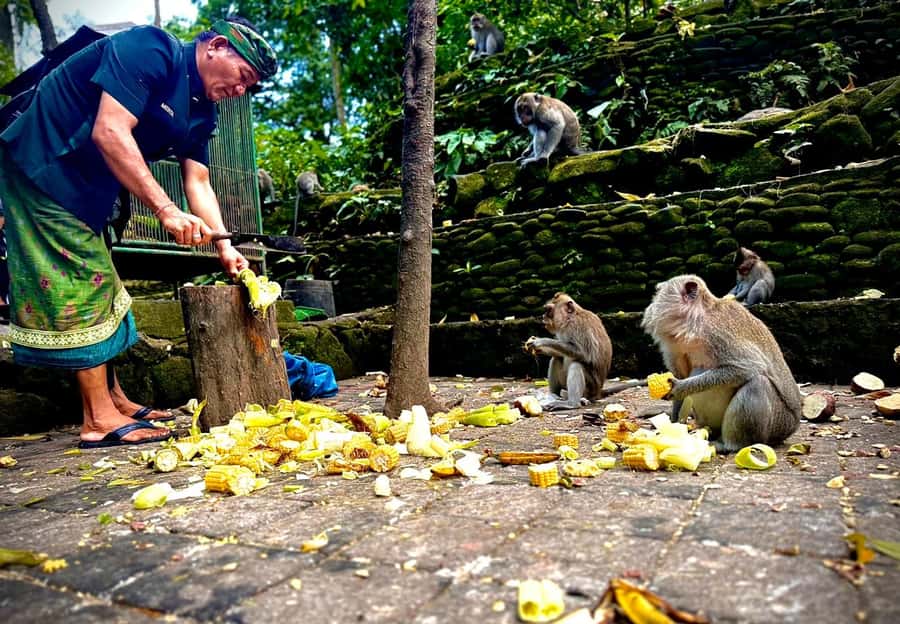 Ubud: Sacred Monkey Forest Sanctuary Ticket and Guided Tour - Add-ons: useful extras or too much in one day?