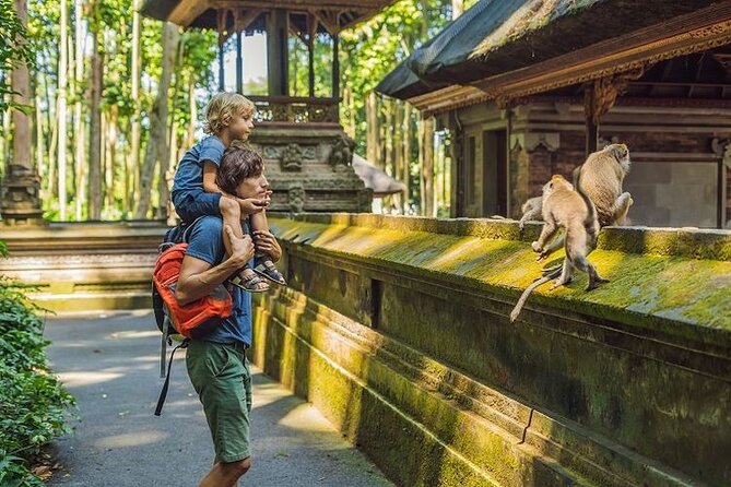 Ubud Silver Jewelry Making Class with Temple, Monkey Forest - Tegenungan Waterfall closes the day with water and greenery