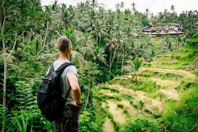 Ubud Small Group Tour: Monkey Forest, Tegalalang Rice Terraces and more - What the guides add to the experience