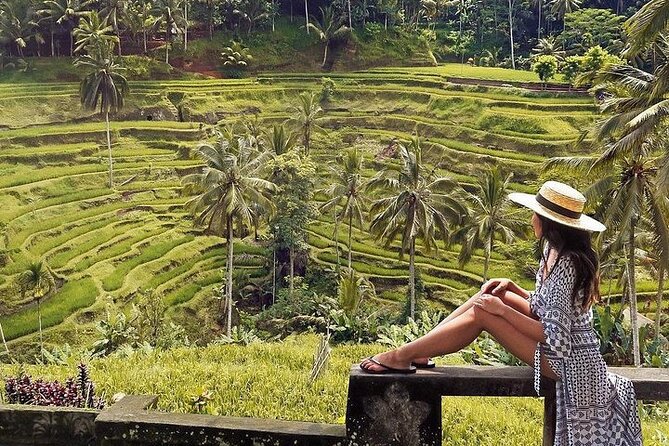 Ubud: Swing - Monkey Forest - Waterfall - Temple - Rice Terraces - Art Crafts - Tirta Empul and Bali’s holy spring water