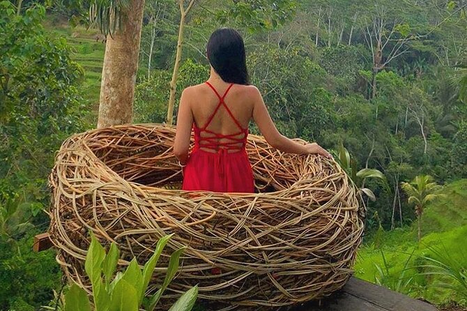 Ubud: Swing - Monkey Forest - Waterfall - Temple - Rice Terraces - Art Crafts - The driver makes or breaks the day