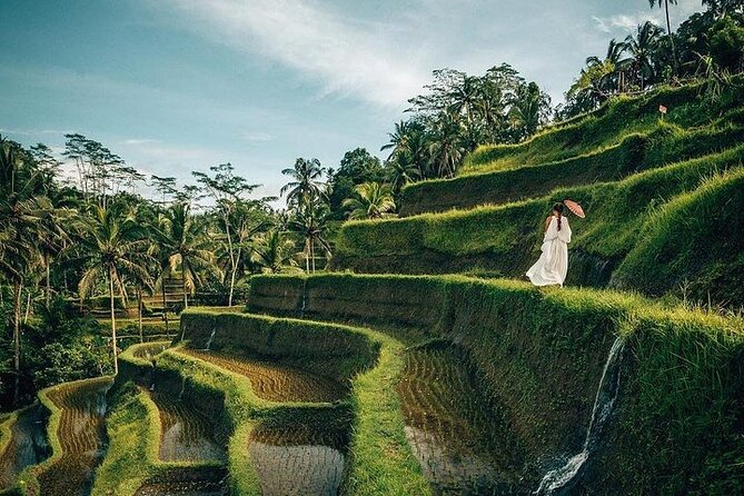 Ubud: Swing - Monkey Forest - Waterfall - Temple - Rice Terraces - Art Crafts - Tegenungan Waterfall and the first taste of the jungle