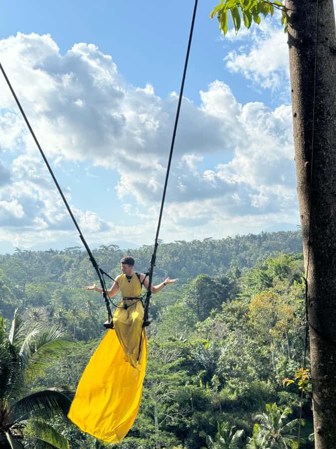 Ubud: Temple, Swing, Waterfall, Rice Terrace & Monkey Forest - Tegallalang Rice Terrace and the Bali jungle swing