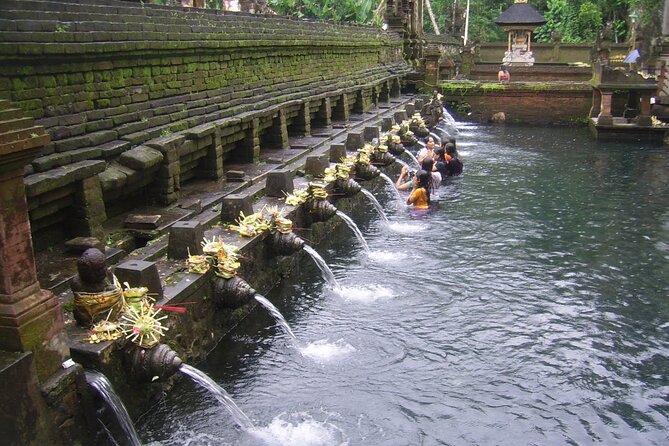 Ubud Tour : Monkey forest, Rice terrace, Water temple, Waterfall & Jungle Swing - A full Ubud day without arranging five separate rides