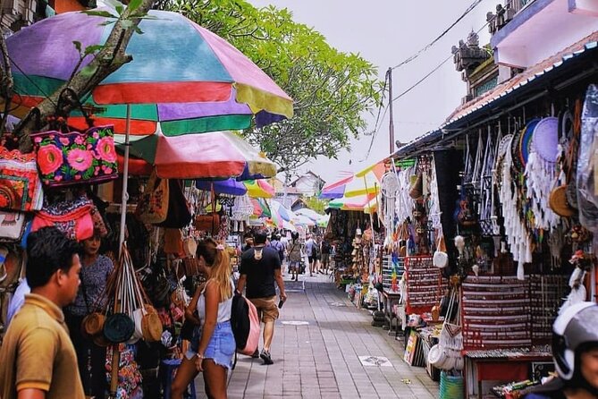 Ubud Tour : Monkey forest, Rice terrace, Water temple, Waterfall & Jungle Swing - What the private car changes