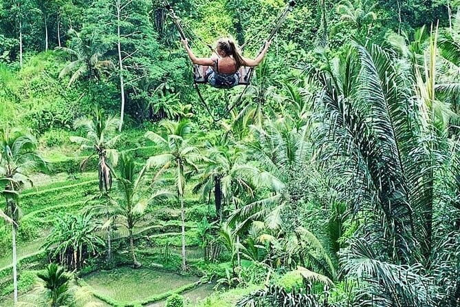 Ubud Tour: Monkey Forest, Rice Terrace, Waterfall, Water Temple - Ending at Tegenungan Waterfall