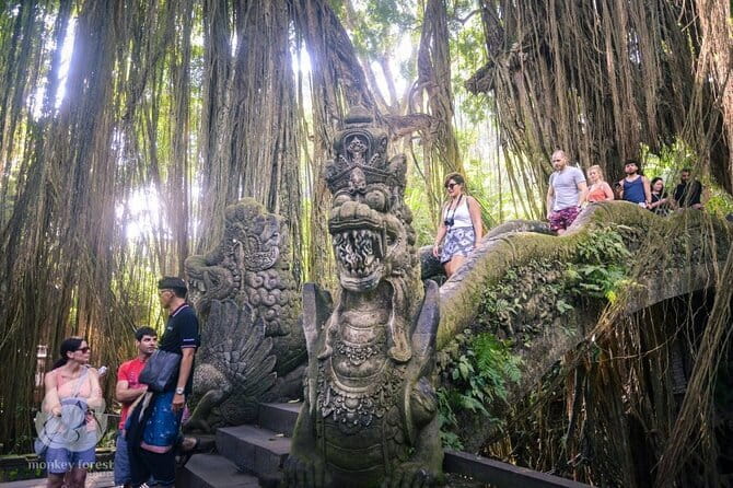 Ubud Tour: Monkey Forest, Rice Terrace, Waterfall, Water Temple - Walking the Tegalalang Rice Terrace