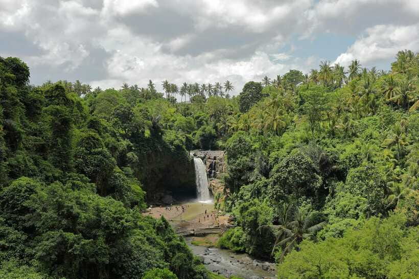 Ubud Tour Monkey Forest Rice Terraces Bali Swing Tirta Empul - Ending at Tirta Empul Temple