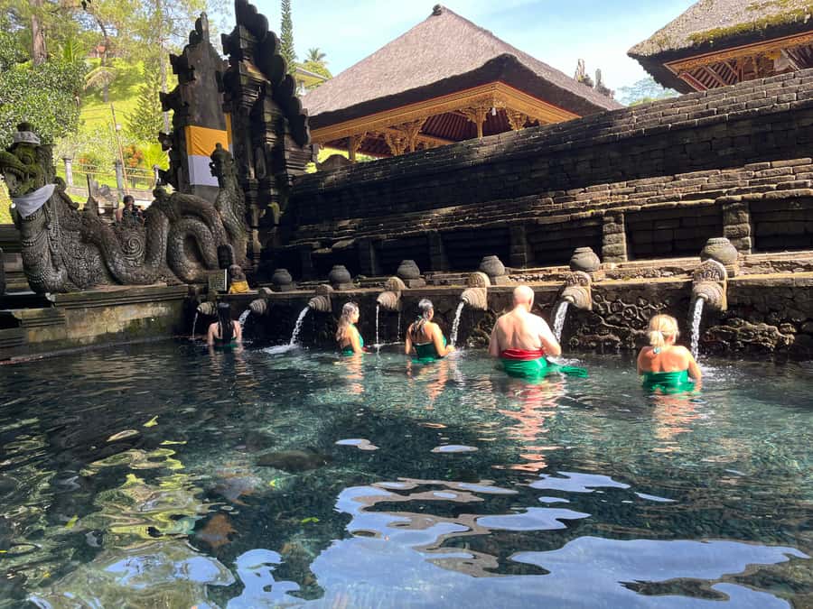 Ubud Tour Monkey Forest Rice Terraces Bali Swing Tirta Empul - Who will enjoy this tour most