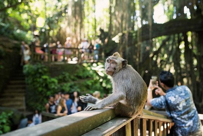 Ubud Tour: Monkey forest, rice terraces, temple, waterfall - Tegenungan Waterfall for views and photographs