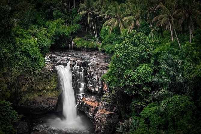 Ubud Tour: Monkey forest, rice terraces, temple, waterfall - Is $35 a fair price?