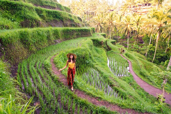 Ubud Tour with Swing, Temple, Monkey Forest, and Waterfall - Why this private Ubud day makes sense