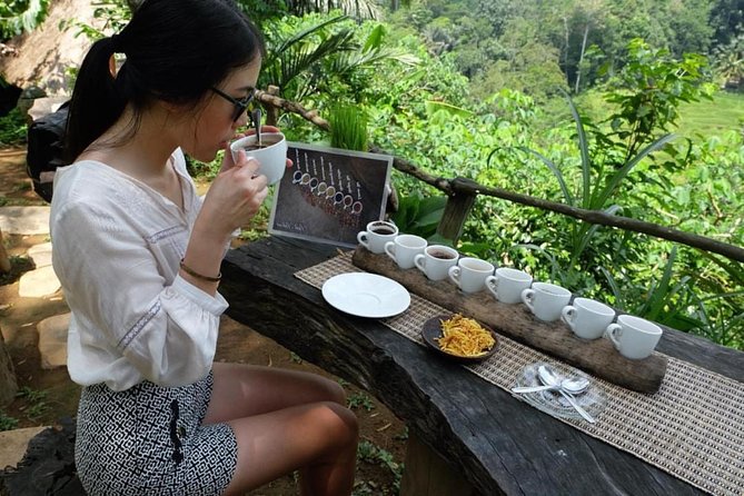 Ubud Tour with Swing, Temple, Monkey Forest, and Waterfall - Tegenungan Waterfall brings a short cooling break