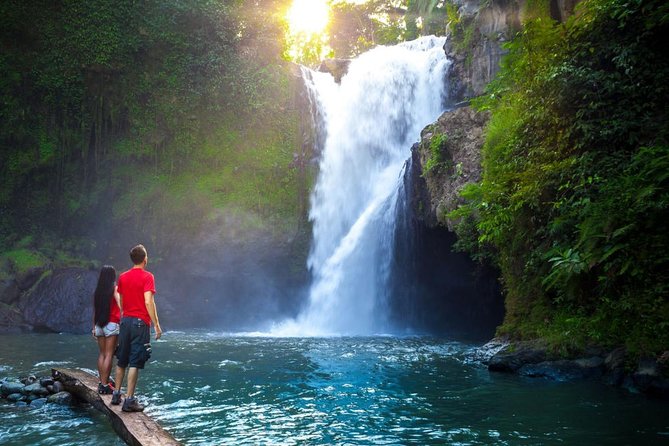 Ubud Tour with Swing, Temple, Monkey Forest, and Waterfall - Happy Swing Bali is the main photo stop