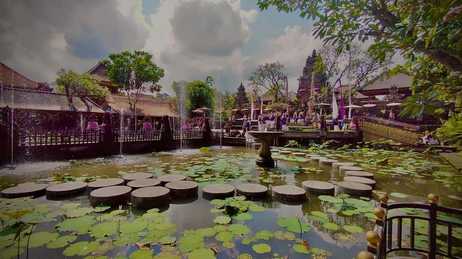 Ubud: Walking Tour with Campuhan Ridge & Monkey Forest - Key points to know before booking