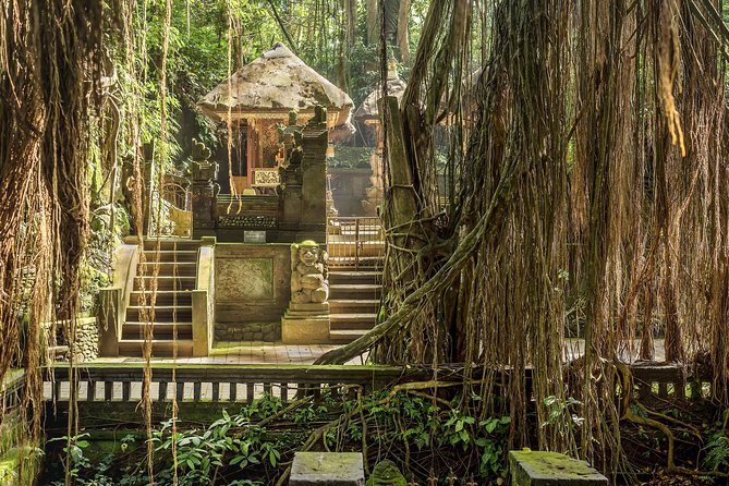 Ubud: Waterfall, Rice Terraces, and Monkey Forest Private Tour - A short pause at the Ubud Traditional Art Market