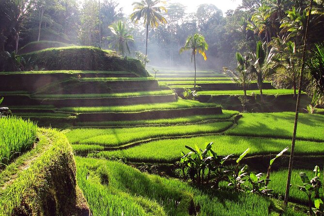 Ubud: Waterfall, Rice Terraces, and Monkey Forest Private Tour - Tegenungan Waterfall closes the day