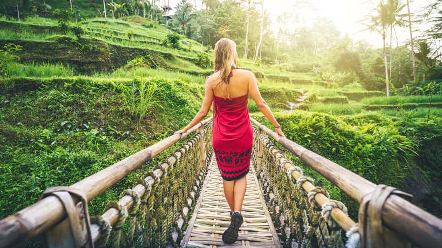 Ubud: Waterfall, Rice Terraces & Monkey Forest Private Tour - Why this Ubud day works so well
