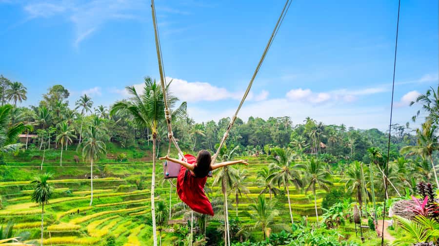 Ubud: Waterfall, Rice Terraces & Monkey Forest Private Tour - Mas Village and the craft side of Bali