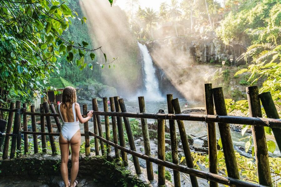 Ubud: Waterfall, Rice Terraces & Monkey Forest Private Tour - Tegalalang Rice Terrace and the jungle swing