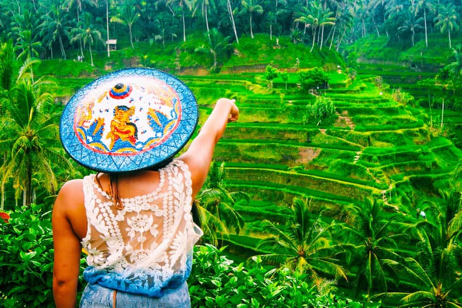 Ubud: Waterfall, Rice Terraces & Monkey Forest Private Tour - Tegenungan Waterfall: a cool start with stairs