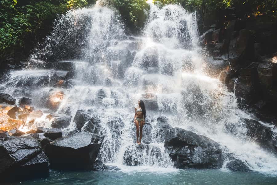 Ubud: Waterfall, Water Temple and Monkey forest Private Tour - Key points at a glance