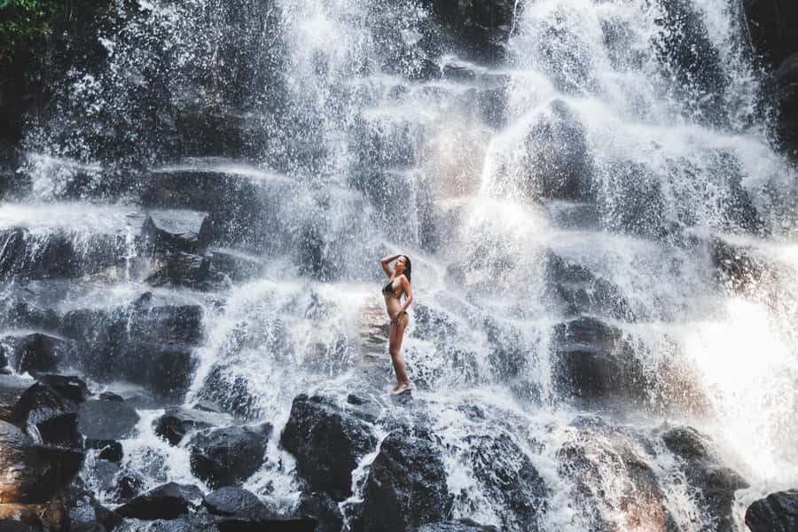 Ubud: Waterfall, Water Temple and Monkey forest Private Tour - Who should book this tour?