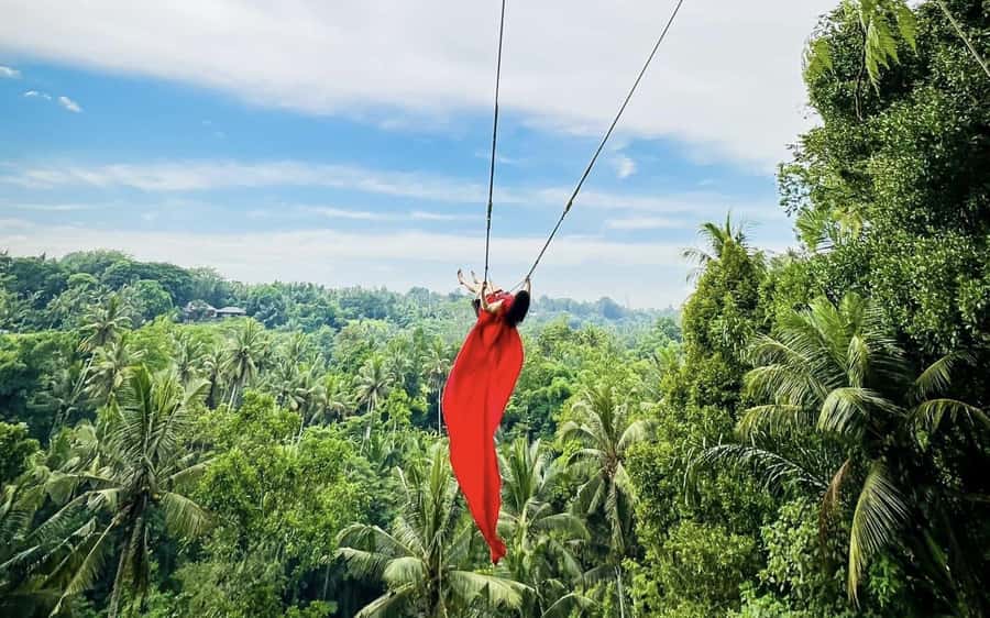 Ubud: Waterfalls, Sacred Monkey Forest & Rice Terraces Tour - What to bring and who should book