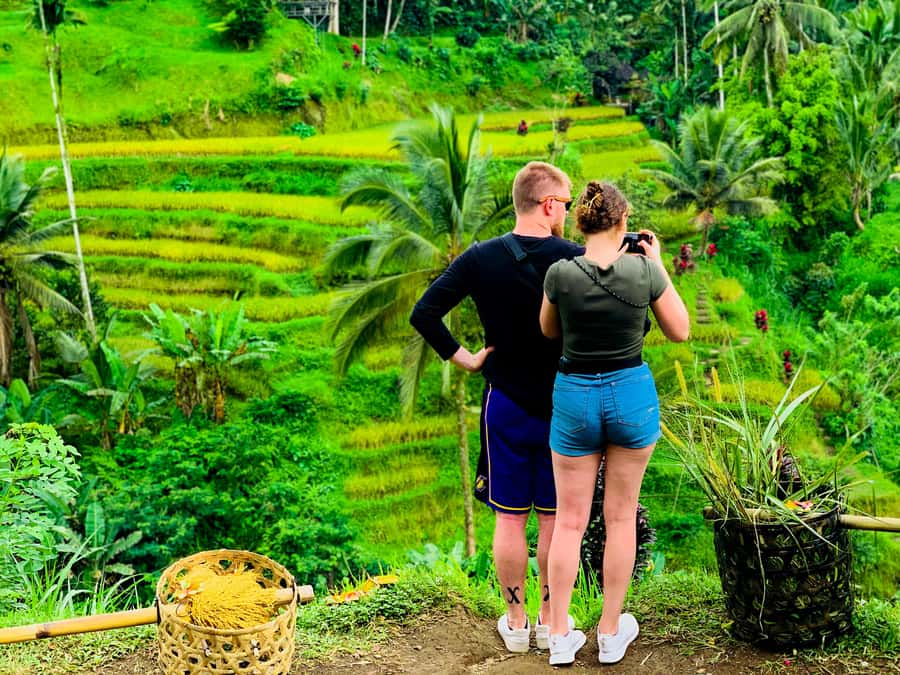 Ubud: Waterfalls, Sacred Monkey Forest & Rice Terraces Tour - Transport, guides, and the long day