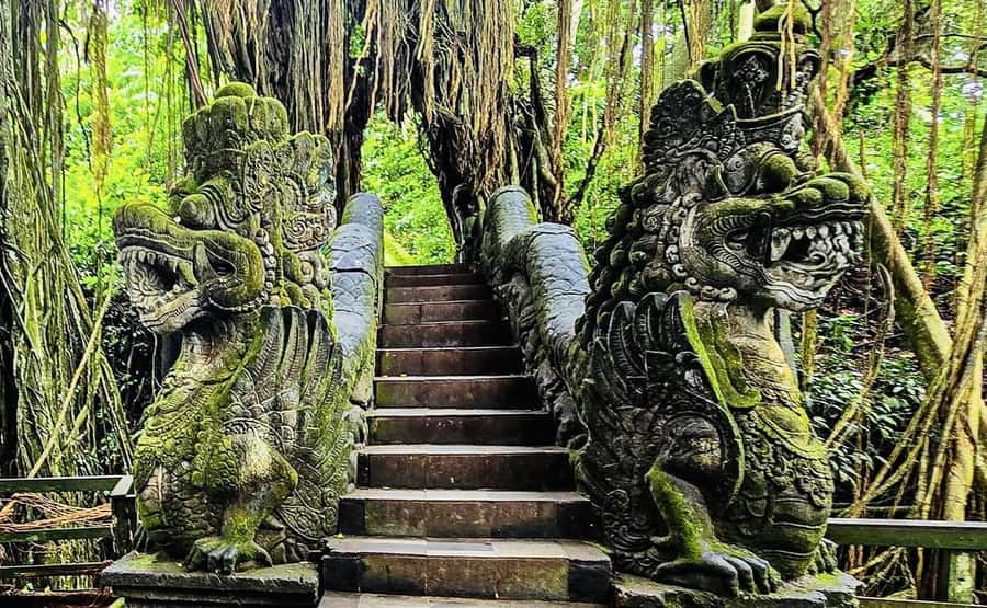 Ubud: Waterfalls, Sacred Monkey Forest & Rice Terraces Tour - Is $19 good value?