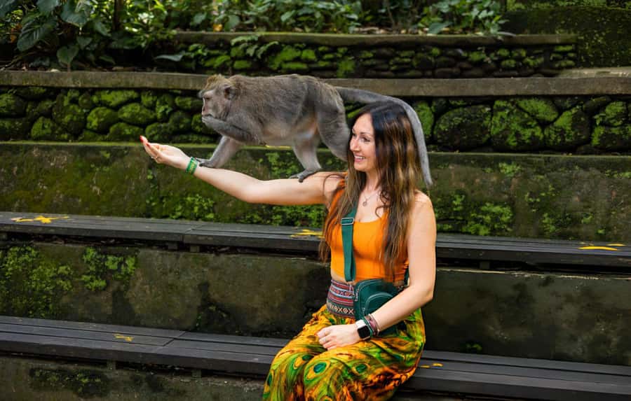 Ubud: Waterfalls, Temple, Monkey Forest Private Tour - Key points at a glance
