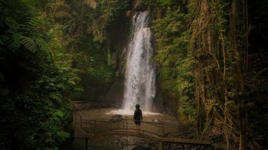 Ubud: Waterfalls, Temple, Monkey Forest Private Tour - Tibumana Waterfall: the calm swimming stop