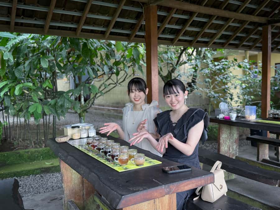 Ubud: Waterfalls, Temple, Monkey Forest Private Tour - What the private guide adds
