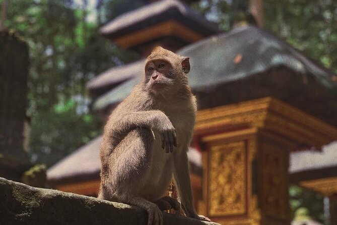 Ubud: White Water Rafting with visit Ubud Monkey Forest - Who will enjoy this day most?