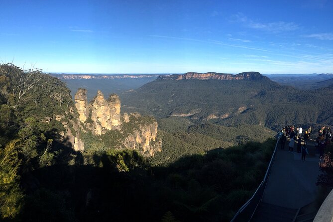 Ultimate Blue Mountains Private Tour with Scenic World and Wildlife Park - Scenic World: three rides, one tight schedule
